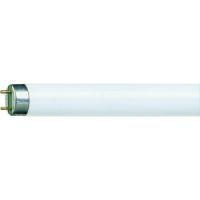 zářivková trubice Brilum FTB 36W 6400K 120cm