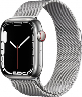 Apple Watch Series 7 Wi-Fi + Cellular 45mm silver Stainless Steel CZ