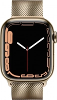Apple Watch Series 7 WiFi + Cellular 41mm Gold Stainless Steel CZ