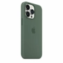 originální pouzdro Apple Silicone Case s MagSafe pro Apple iPhone 13 Pro Eucalyptus green - 