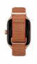 chytré hodinky Amazfit GTS 4 gold s nylonovým páskem CZ Distribuce - 